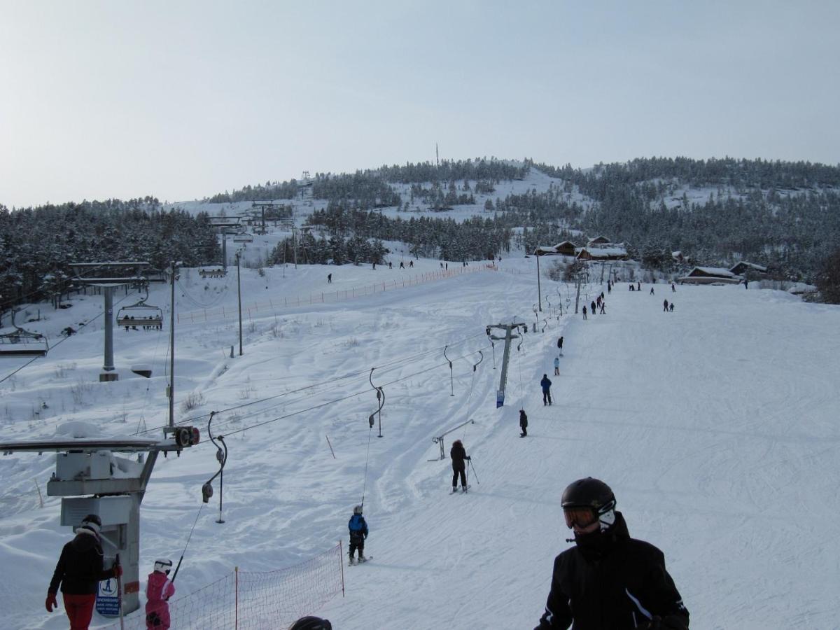 Vradal Panorama - Tiurasvegen 39 Villa Kültér fotó