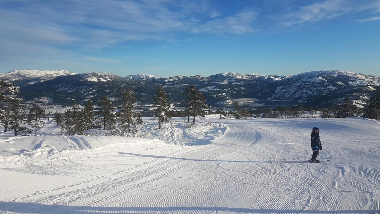 Vradal Panorama - Tiurasvegen 39 Villa Kültér fotó
